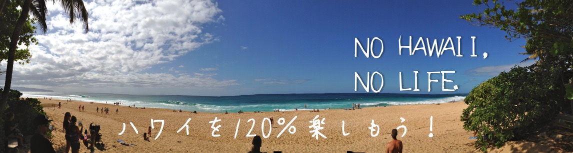 nohawaiinolifeheader2