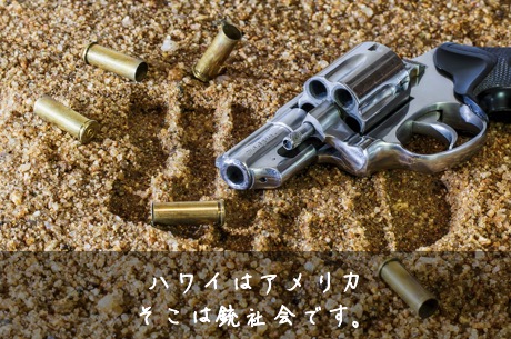 ハワイは銃社会