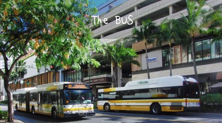 thebus